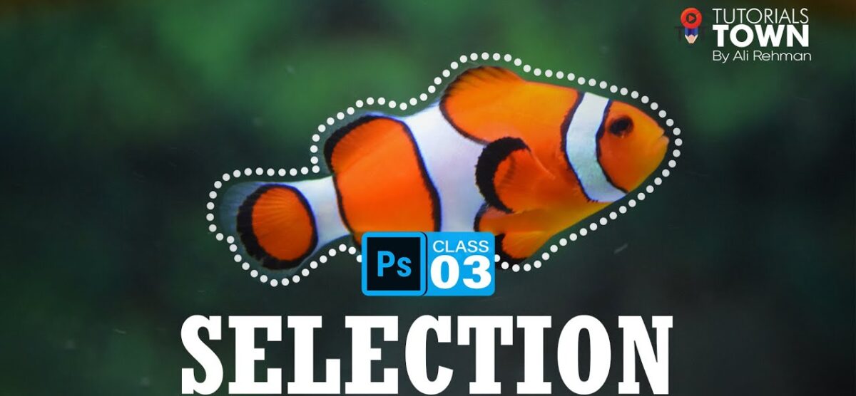 Master in Selections | Photoshop Training | Class 03