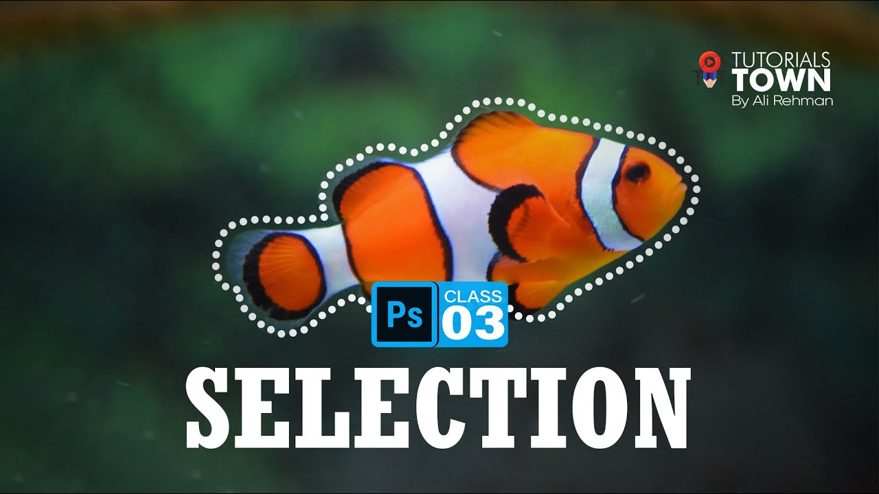 Master in Selections | Photoshop Training | Class 03