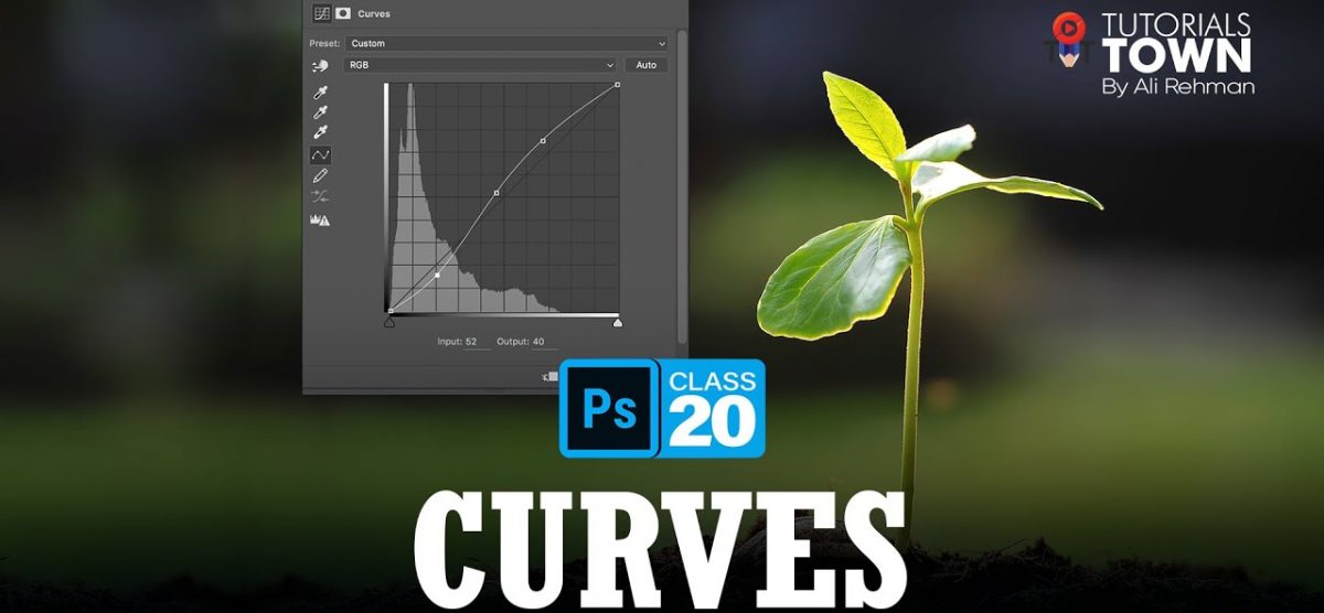 Curves | Adjustment Layer | Class 20 | Photoshop Complete Training