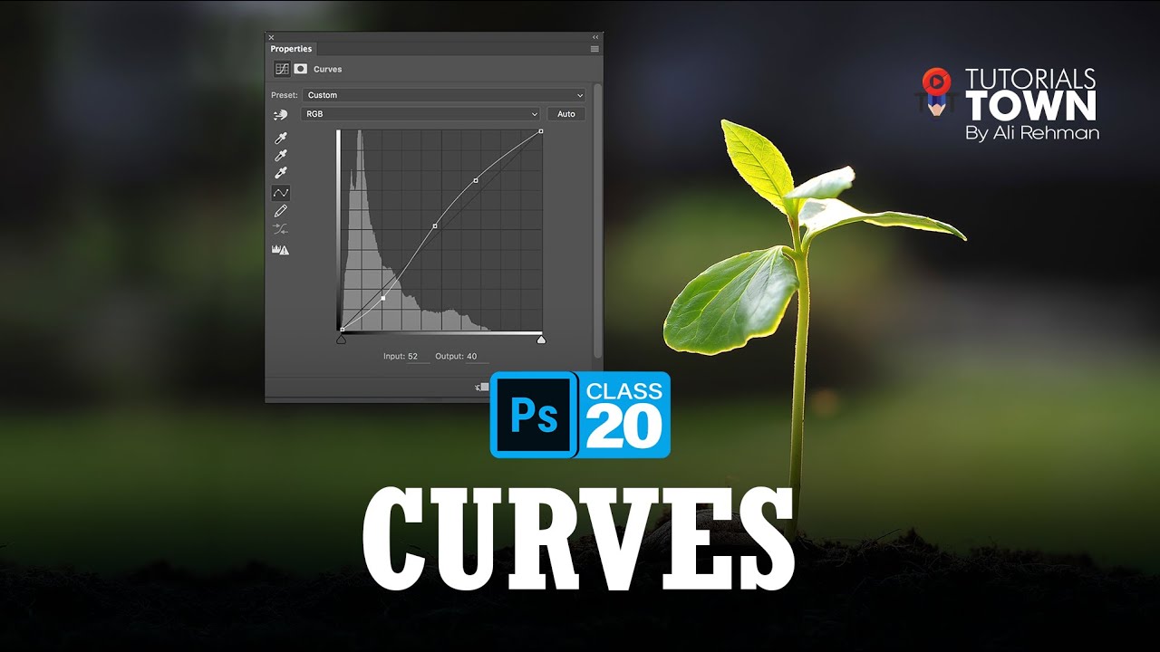 Curves | Adjustment Layer | Class 20 | Photoshop Complete Training