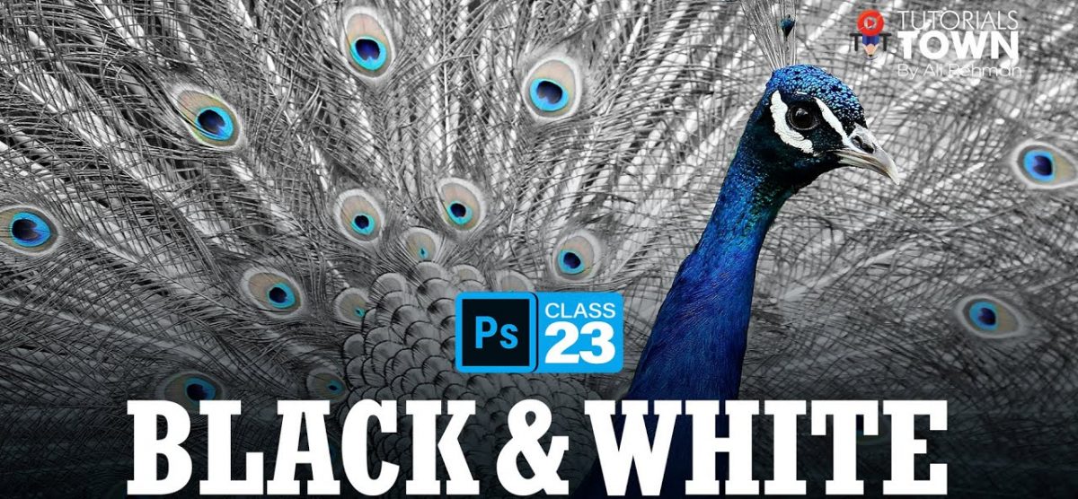 Black & White | Class 23 | Photoshop Training in Urdu/Hindi