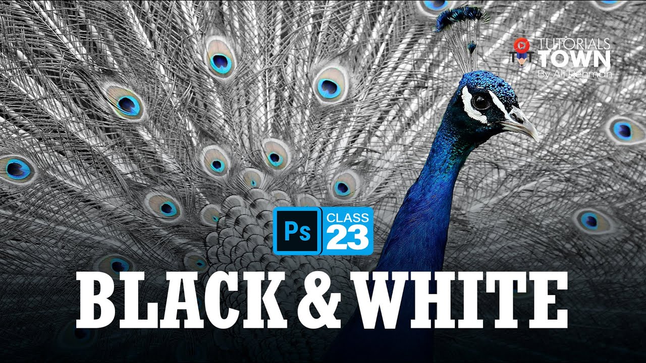 Black & White | Class 23 | Photoshop Training in Urdu/Hindi